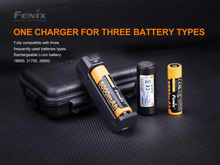 ARE-X1 V2.0 Battery Charger